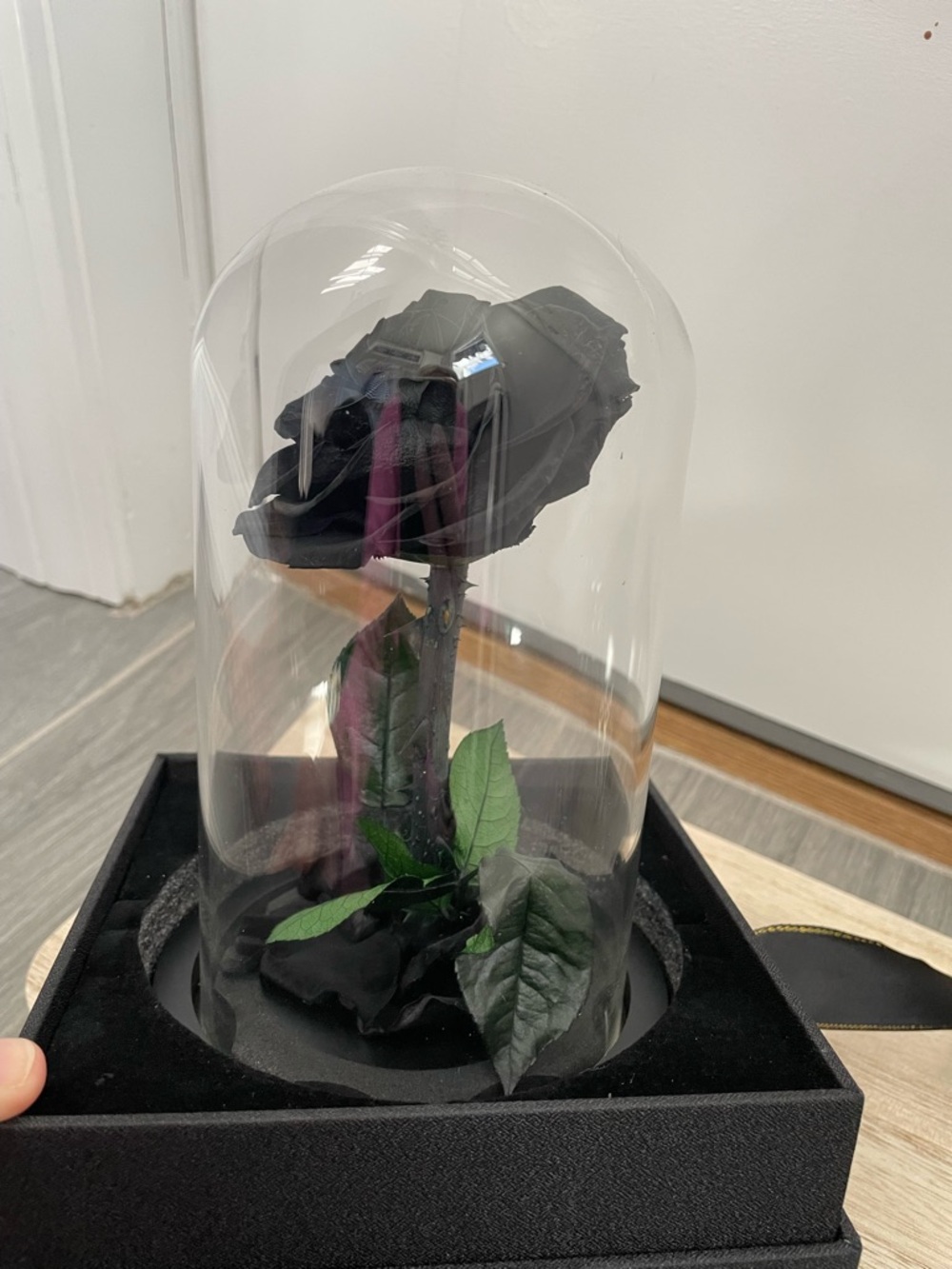 NATROSES Handmade Preserved Black Rose in Glass Dome New in Box - Picture 9 of 12
